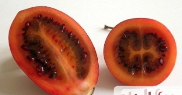 Egzotyczne owoce - tamarillo