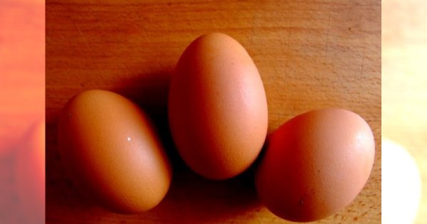 Jakie są główne zasady diety Dukana?