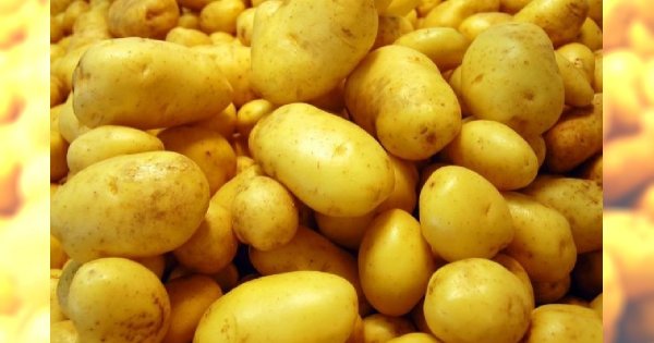 Jak zrobić nawilżającą maseczkę z ziemniaka ?