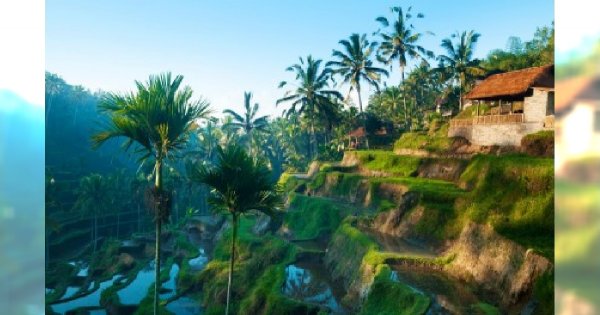 Piękne miejsca: Ubud na Bali