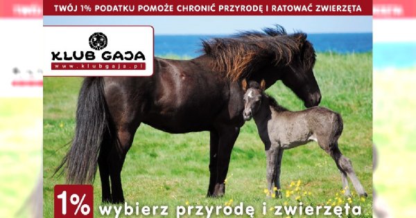 Rawa przykryta błękitem