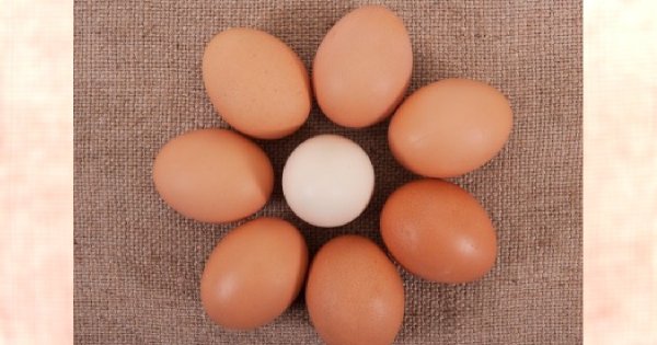 Jak wykorzystać kurze białko w kosmetyce?