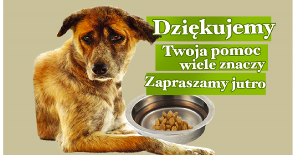 Jedno kliknięcie i pomagasz!