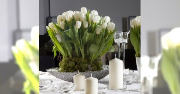 Florysta weselny – na co zwrócić uwagę decydując się na ofertę?