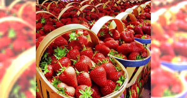 Zdrowe przekąski - na co wymienić chipsy?