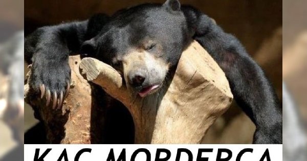 12 skutecznych sposobów na noworocznego kaca!