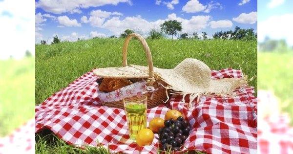 Na majówkę, na majówkę... Zdrowe piknikowanie - wywiad