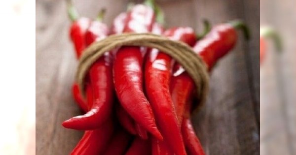 Dieta pod lupą - papryka Cayenne