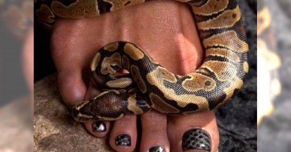 Manicure z prawdziwą skórą węża - Hit czy Kit?