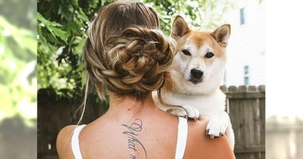 Czarujące fryzury z długich włosów - HOT TRENDY 2015
