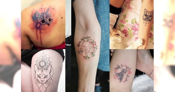 Miłośniczki kotów będą zachwycone naszą galerią! Ponad 20 ślicznych wzorków z tymi niesamowitymi zwierzątkami