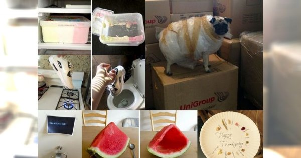 12 zdjęć, które zrozumie każdy, kto ma rodzeństwo! ZABAWNA i PRAWDZIWA galeria, która wyraża więcej niż tysiąc słów!