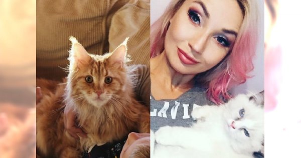 Dzień Kota: która gwiazda ma takiego pięknego pupila? "Prawdziwa miłość". A Cleo twierdzi, że kot jest lepszy od faceta!