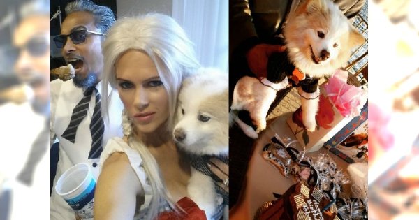 "Żony Hollywood": Iwona wyprawiła URODZINY DLA PSA. "Toby to jest mały ludź, może mieć party, gdzie chce"