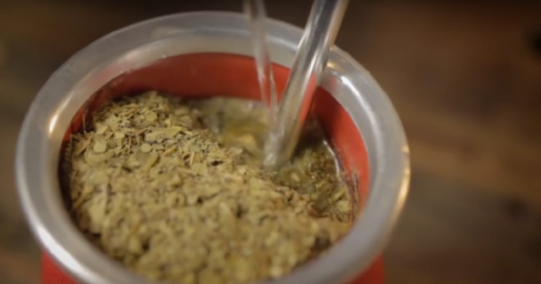 Czy kobiety w ciąży i karmiące piersią mogą pić Yerba Mate? Sprawdź!