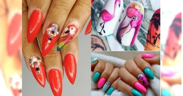 Manicure: Szukasz interesującego wzoru? Manicure z malunkiem PAPUGI to prawdziwy hit na lato 2018!