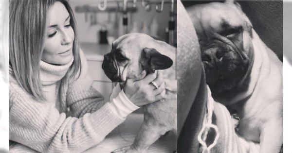 Ukochany pies Małgorzaty Rozenek nie żyje. "Nasza kochana Marianka odeszła... W domu pustka, na kanapie mnóstwo miejsca"