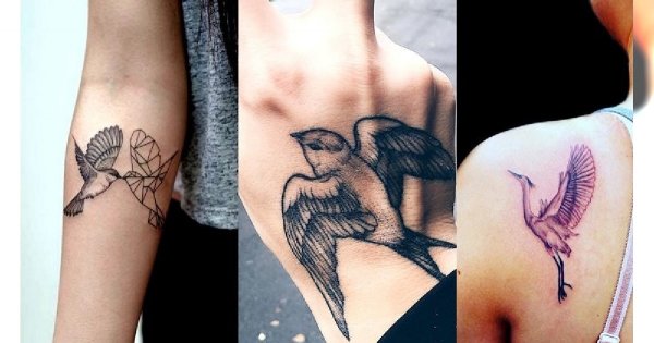 Bird tattoos - 16 ślicznych i unikatowych wzorów dla kobiet