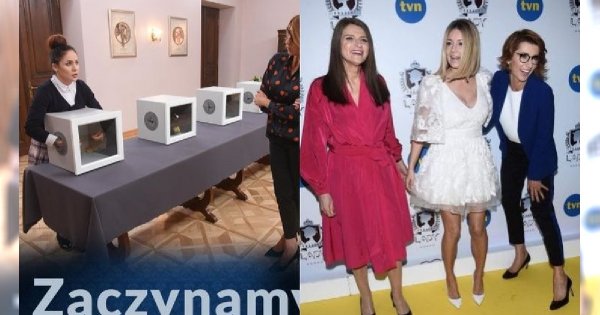 Projekt Lady: BURZA po zadaniu z ostatniego odcinka! "Kto pozwolił na wykorzystywanie zwierząt?"