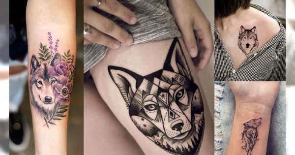 Tatuaż z motywem wilka - galeria tajemniczych i kobiecych pomysłów