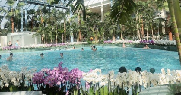 Jak naprawdę wygląda Suntago, największy aquapark w Europie? Opinie gości są przerażające