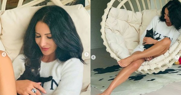 Justyna Steczkowska rozmnaża swoje koty! Internauci zmieszali ją z błotem