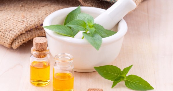 Rewelacyjny olej moringa - pielęgnuje skórę, włosy, a także wspomaga odchudzanie!