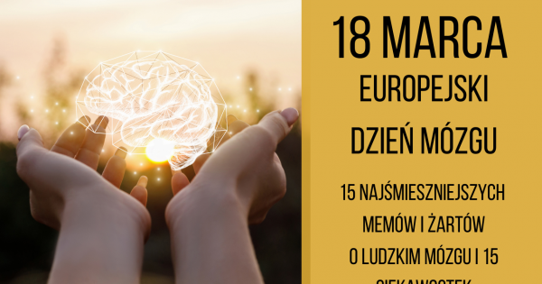 Europejski Dzień Mózgu - 15 ciekawostek o ludzkim mózgu. Memy i żarty