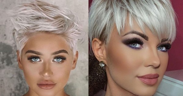 Jak tej wiosny prezentuje się pixie bob?