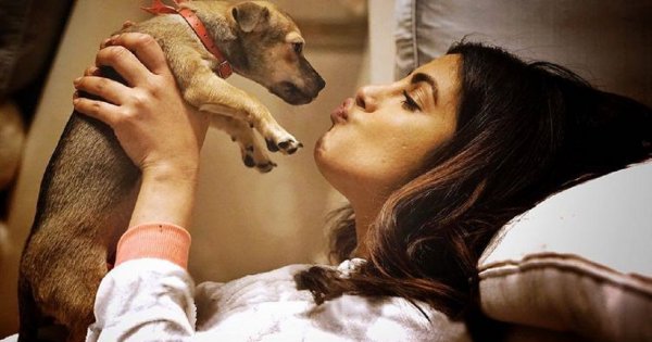 Priyanka Chopra-Jonas zrobiła sobie tatuaż! Jaki wzór wybrała?