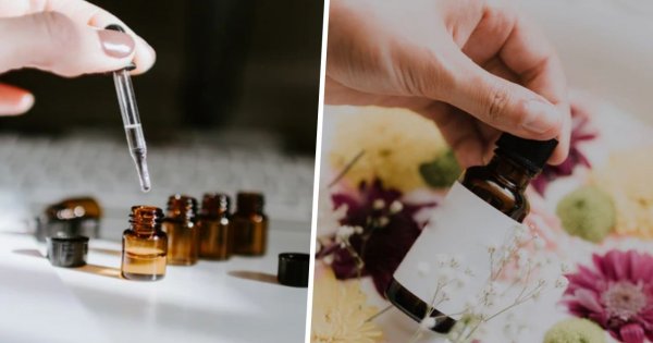 Najlepsze olejki roślinne do pielęgnacji skóry i włosów