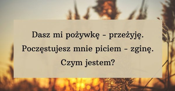 Logiczna zagadka, nad którą głowią się internauci! Mało kto potrafi odgadnąć odpowiedź!