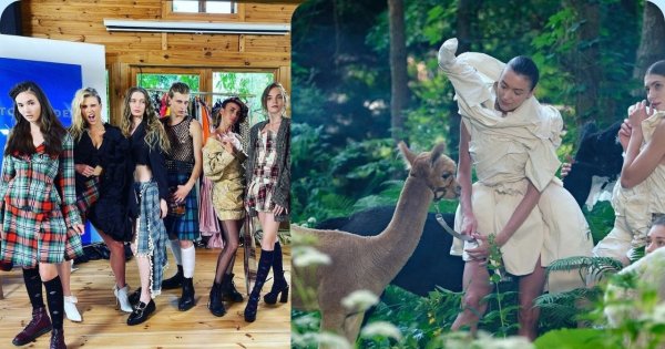 Afera w Top Model! Udział alpak w sesji zdjęciowej był złym pomysłem?
