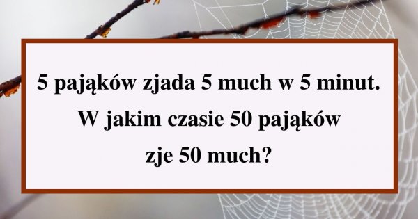 Ta banalna zagadka rozłożyła na łopatki wiele osób! Przekonaj się, czy potrafisz logicznie myśleć!