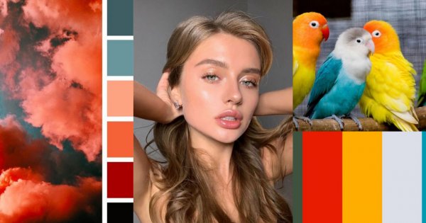 Analiza kolorystyczna - wiedza, dzięki której już zawsze będziesz wiedziała jak podkreślić Twoje piękno
