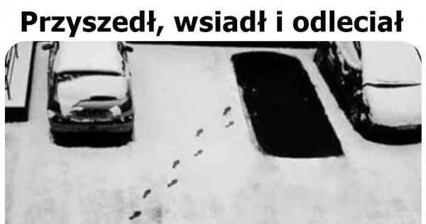 Zimowa zagadka - mem podzieliła internautów! SZOK! Jak on to zrobił?!