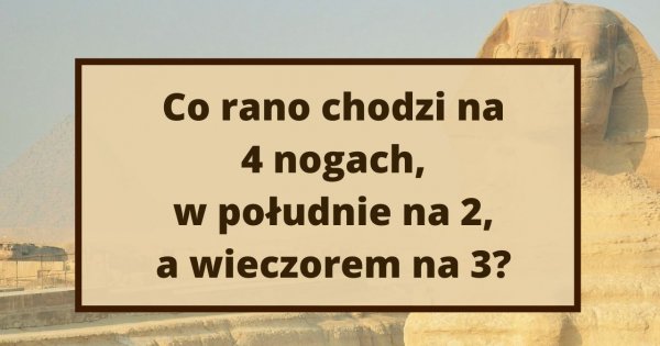 Oto jedna z najsłynniejszych logicznych zagadek! Jesteś w stanie ją rozwiązać?