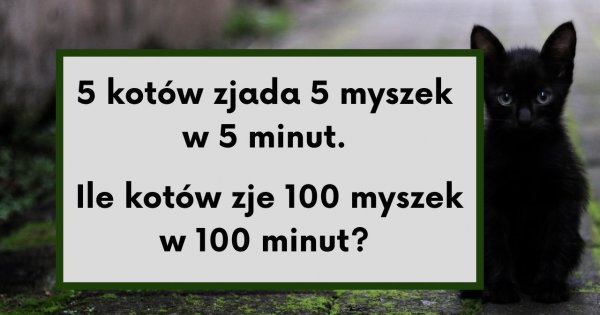 Ta zagadka sprawi, że Twój mózg zacznie działać na najwyższych obrotach! Potrafisz ją rozwiązać?