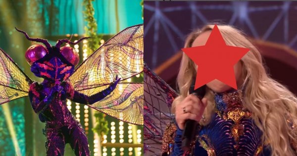 "Mask Singer": kto skrywał się w kostiumie Ważki? To znana aktorka i piosenkarka!