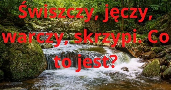 Oto zagadka, którą niewiele osób jest w stanie rozwiązać. Jesteś wybrańcem?