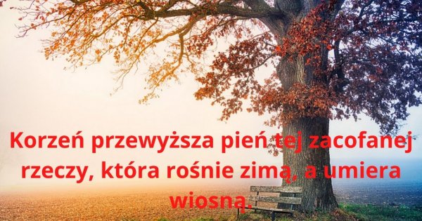 Tej zagadki nie potrafi rozwiązać 70% ludzi! Należysz do mniejszości?