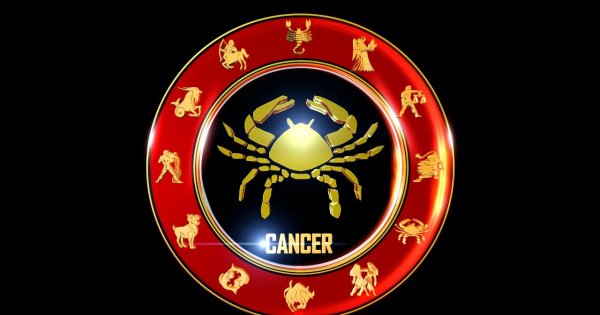 Znak Zodiaku Rak - charakterystyka i horoskop dla wszystkich spod znaku Raka!
