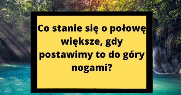 O tę zagadkę kłócą się internauci! Znasz prawidłową odpowiedź?