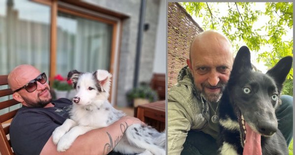 Dzień psa: te gwiazdy mają psy: Zofia Zborowska, Joanna Krupa, Janusz Chabior, Grażyna Szapołowska. Jedna z nich... ukradła psa!
