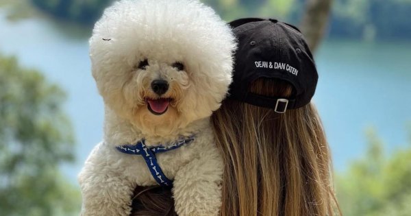Dramat Ewy Chodakowskiej. O mały włos nie straciła psa…