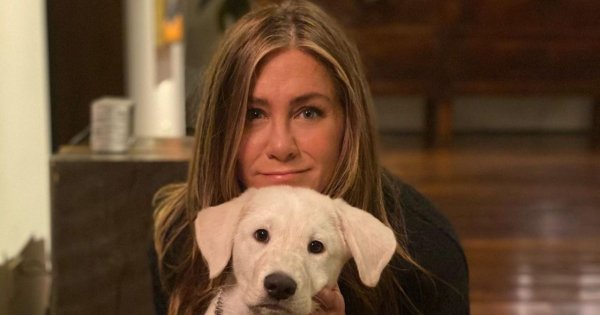 Jennifer Aniston eksponuje zachwycające ciało na plaży! Widać, że skończyła już 53 lata?