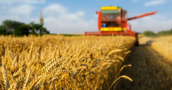 "Rolnicy koszą zboże po nocy i budzą mi dzieci. Czy oni oszaleli? Nie mogą robić tego w dzień?"