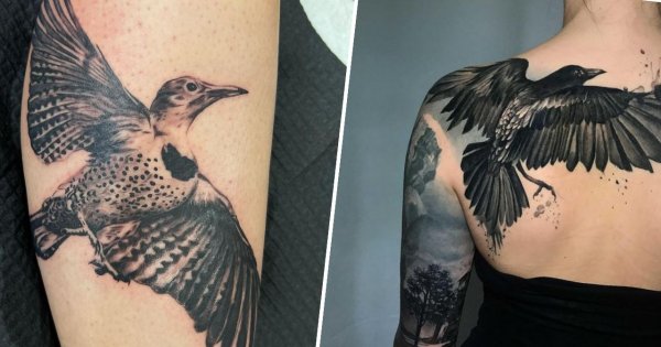 #birdtattoo - tatuaż ptaka. Ukazuje piękno, wolność i wyjątkowość projektu. Zobacz najlepsze tatuaże!