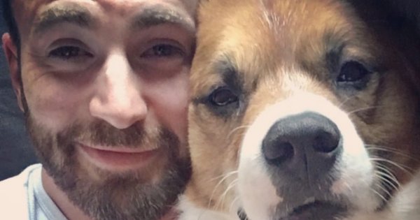 Chris Evans wybrany najseksowniejszym mężczyzną 2022 roku. "Moja mama będzie taka szczęśliwa!"