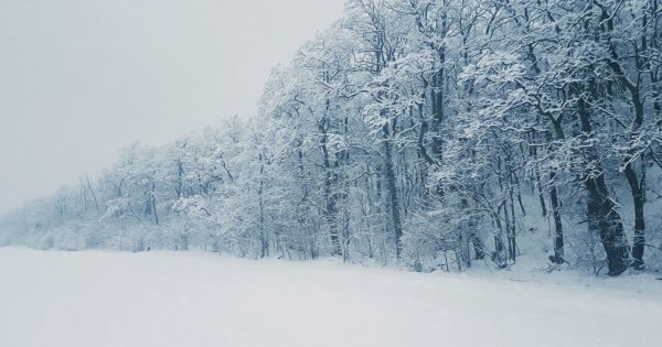 Atak zimy w Polsce! To koniec złotej jesieni? W tym tygodniu spadnie pierwszy śnieg...
